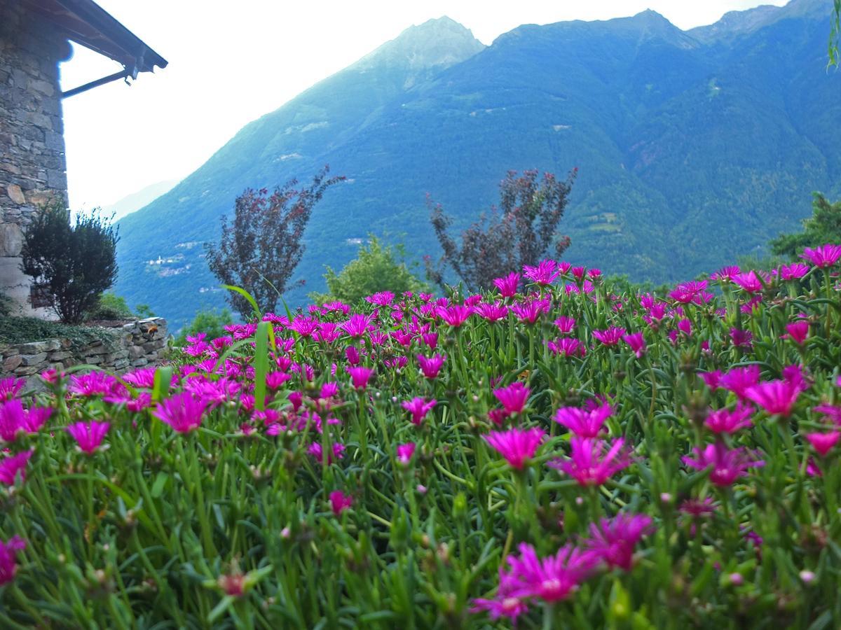 הוילה Mazzo di Valtellina Agriturismo Al Castagneto מראה חיצוני תמונה