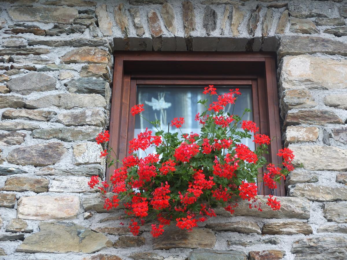 הוילה Mazzo di Valtellina Agriturismo Al Castagneto מראה חיצוני תמונה